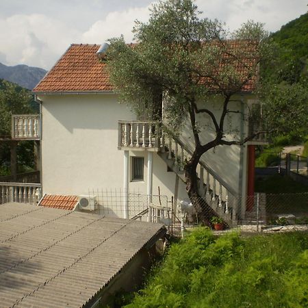 Apartman Irena Tivat Extérieur photo