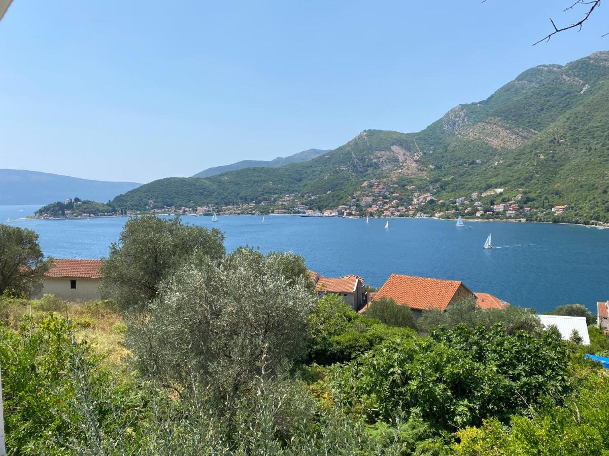 Apartman Irena Tivat Extérieur photo