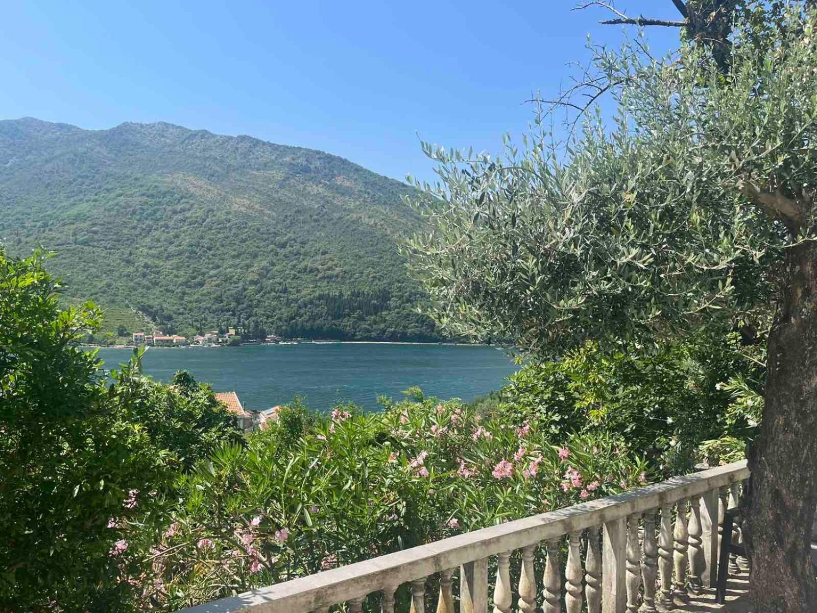 Apartman Irena Tivat Extérieur photo